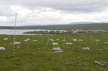 Toolik Field site